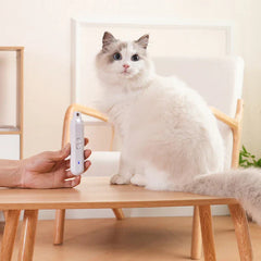 Rechargeable pet nail trimmer held beside fluffy ragdoll cat on wooden table