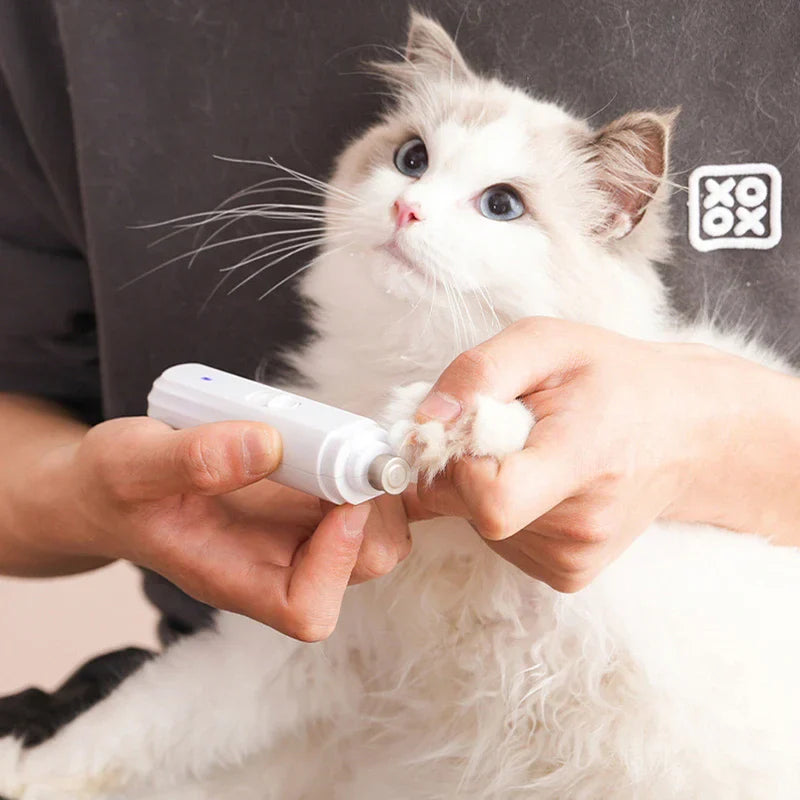 Person gently using electric nail grinder to trim a ragdoll cat's claw safely