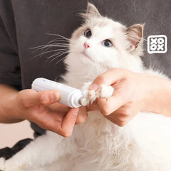 Person gently using electric nail grinder to trim a ragdoll cat's claw safely