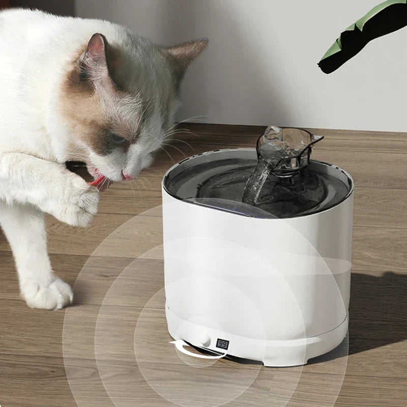 Cat pet water fountain with motion sensor indicator rings, white cat with paw up beside the fountain on wood floor