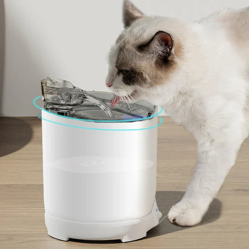 White cat drinking from a white cat pet water fountain with flowing water on a wooden floor