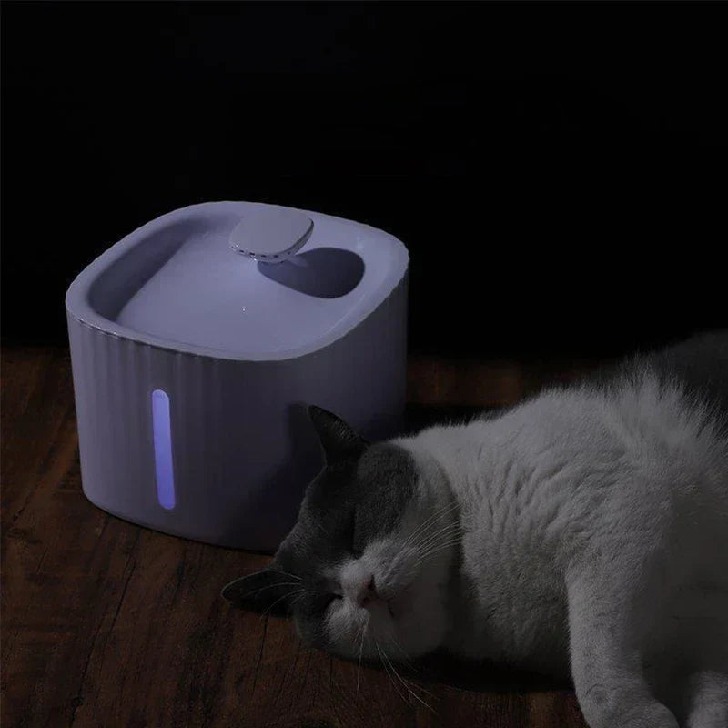 Cat water fountain pet smart with shower-style stream