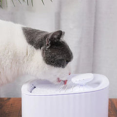 Gray and white cat drinking from a white pet water fountain with flowing water streams