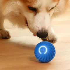 Smart Interactive Dog Bouncing Ball Toy
