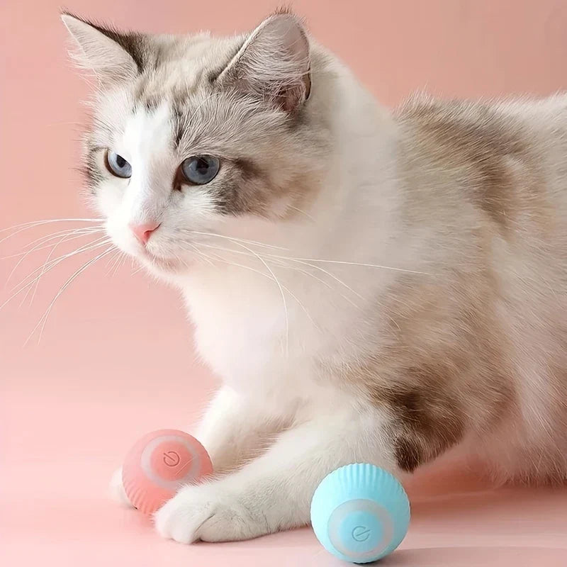 Smart Interactive Rolling Pet Ball Toy