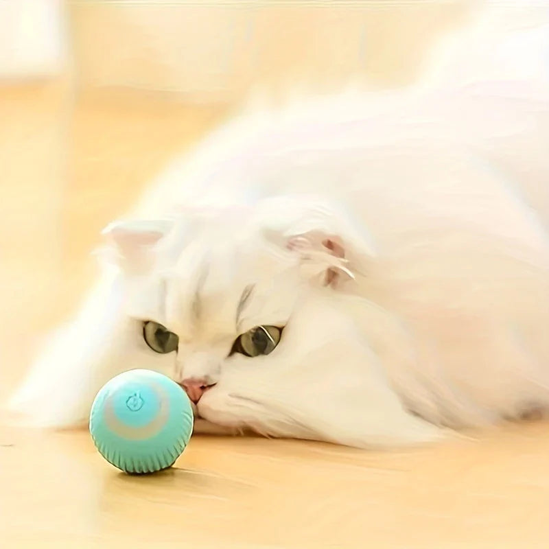 Smart Interactive Rolling Pet Ball Toy