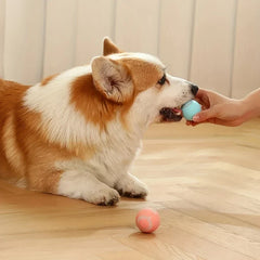 Smart Interactive Rolling Pet Ball Toy