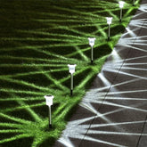 Solar Powered Ground Stake Garden Lights (6 Pack)