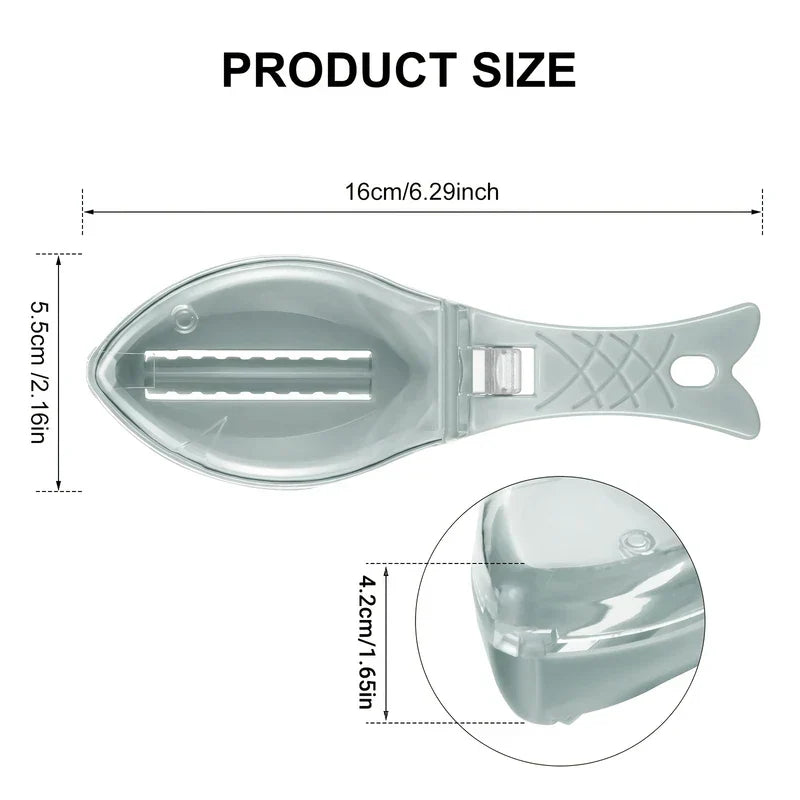 Stainless Steel Fish Scale Remover - Fish-shaped fish scale scraper with labeled dimensions: 16cm long, 5.5cm wide, 4.2cm depth.