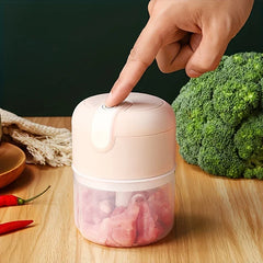 Stainless Steel Garlic Ginger Grater Mincer Tool