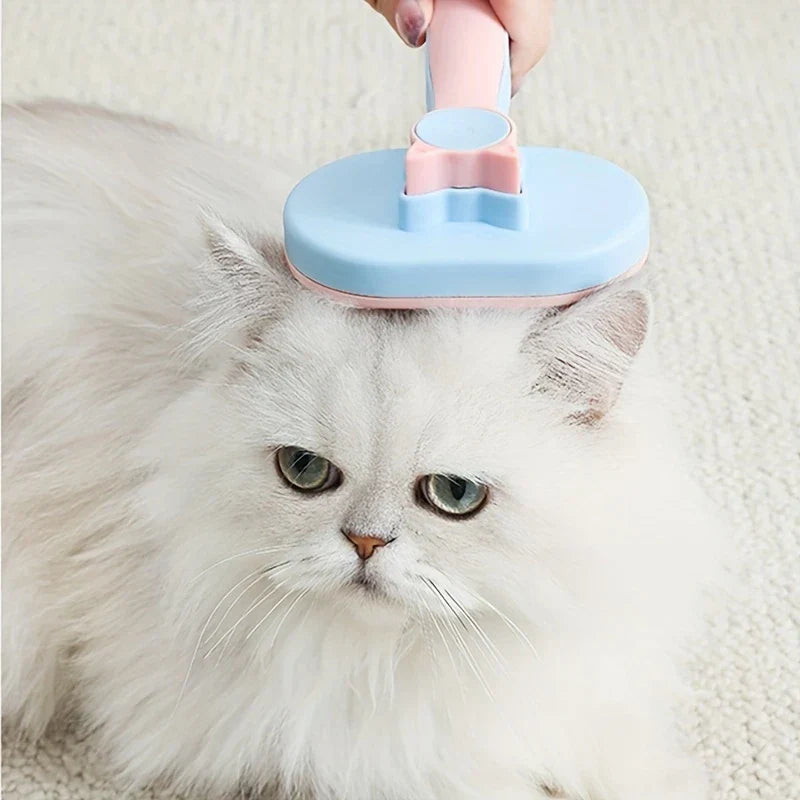 Pet Grooming Comb - Hand holding a pink and blue pet brush resting on a fluffy white cat’s head