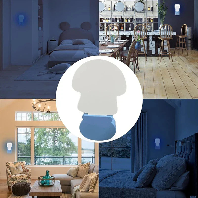 Sticky Fly Trap Mosquito Catcher Indoor