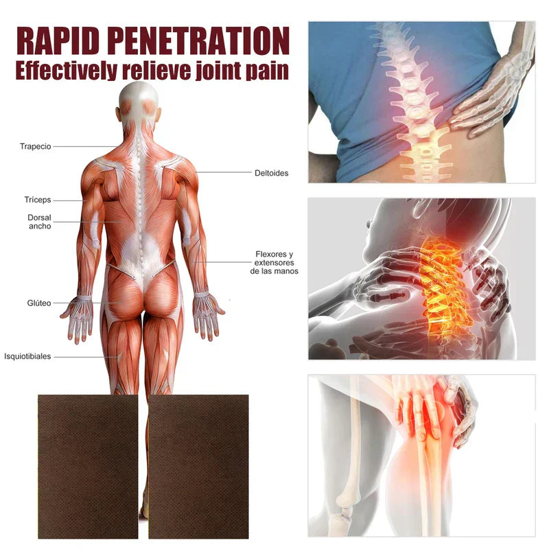 Pain Patch - Infographic showing a human back muscle diagram, pain site illustrations, and two brown rectangular patches with text reading 'RAPID PENETRATION Effectively relieve joint pain'