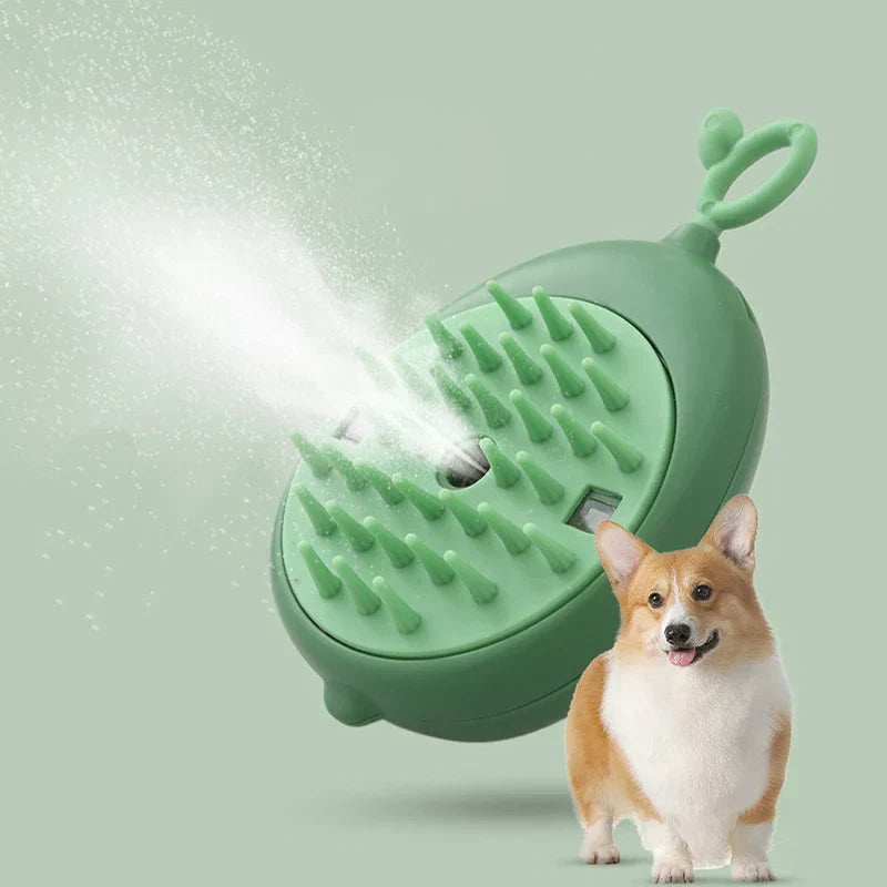 Peines para mascotas con luz UV: cepillo de aseo verde con forma de mango que libera niebla junto a un perro corgi de pie