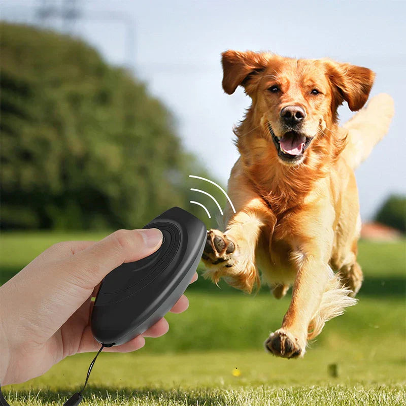 Dog Training Whistle - Hand holding the black device with attached lanyard, activating it toward a running golden retriever in an outdoor grassy park