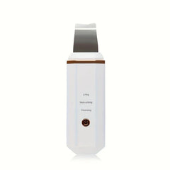 Ultrasonic Skin Scrubber Spatula Facial Lifting