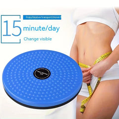 Close-up of the waist twisting disc balance board surface