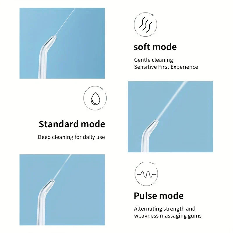 Water Flosser with UV Sanitizer Compartment