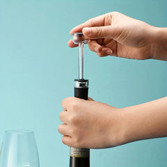 Wine Aerator Pourer Spout