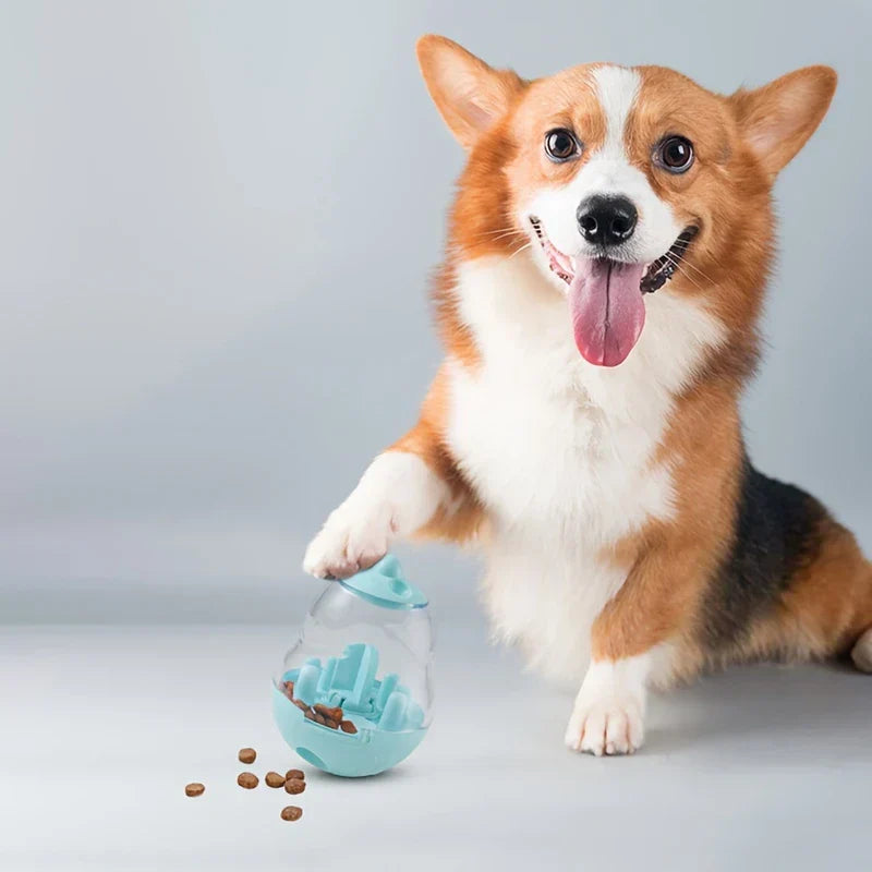 Dog nudging the wobbler treat dispensing interactive pet toy