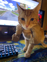 Funny Cat Muscle Arms Costume: 3D Printed Pet Accessory