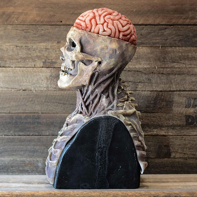 halloween kostume - Venstrevendt profil af en blottet hjerne-skelet-buste-skulptur, der viser kranieside, nakkesener og rygsøjledetalje.