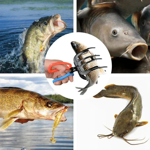 Fishing Pliers - Collage of four different fish photos around a central demo of a hand holding the gripper clipped to a small fish