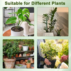 Plant Support Stakes - infographic showing stakes used with monstera, zz plant, garden plants, and hydrangea