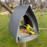 Hanging Bird Feeder for Garden with Roof