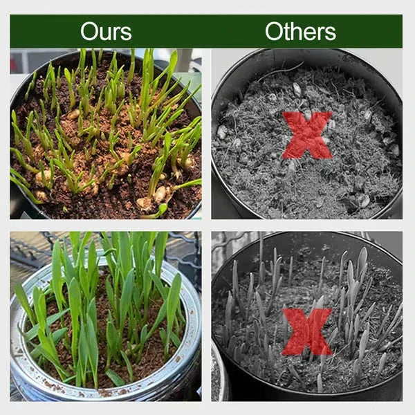 COCO Organic Coconut Coir for Plants