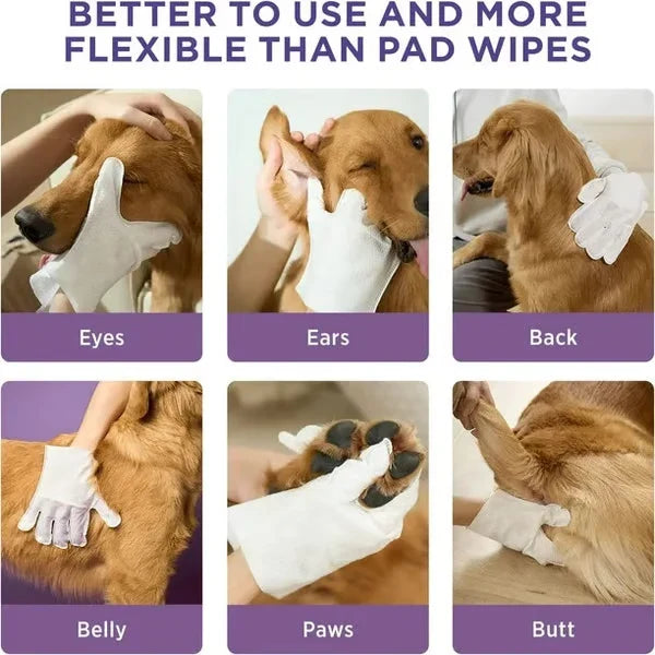 Pet Grooming Gloves - Six-panel demonstration of cleaning gloves being used on a dog, labeled for cleaning eyes, ears, back, belly, paws, and butt, with header text about flexibility.