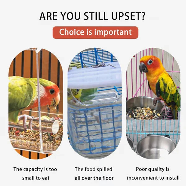 automatischer vogelspender - Vergleichsgrafik, die häufige Probleme herkömmlicher Vogelfutterhäuschen zeigt: geringe Kapazität, verschüttetes Futter und schwierige Montage