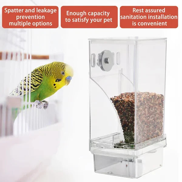 automatischer vogelspender - Transparente Vogelfutterstation neben einem Käfig mit einem Wellensittich montiert, mit drei roten Textbeschriftungen darüber