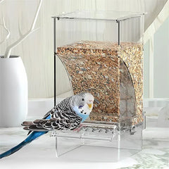 automatischer vogelspender - Wellensittich sitzt auf einer klaren Acryl-Vogelfutterstation, gefüllt mit Körnermischung, auf heller Fläche mit weißer Vase im Hintergrund