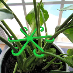 Close-up of green six-pronged plant stem support holding potted plant stems near a window