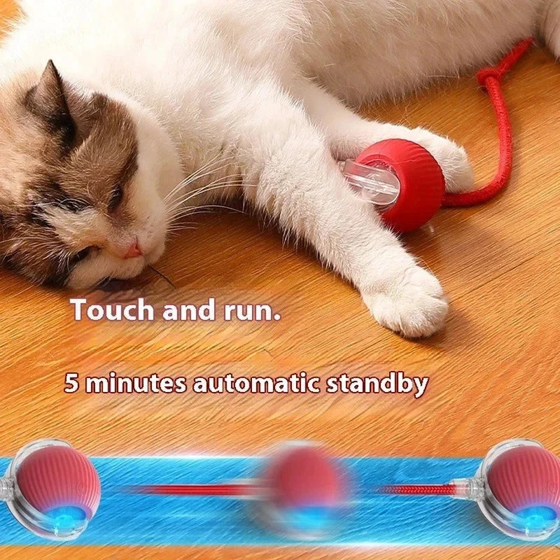 Automatisches bewegliches Kätzchen-Spielzeugfahrzeug - Eine schläfrige weiß-braune Katze liegt auf Holzboden mit einer Pfote auf einem roten Rollball-Spielzeug, mit Bewegungsunschärfe, die Bewegung des Balls darunter zeigt