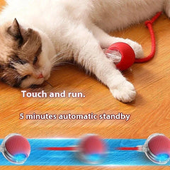 Automatisches bewegliches Kätzchen-Spielzeugfahrzeug - Eine schläfrige weiß-braune Katze liegt auf Holzboden mit einer Pfote auf einem roten Rollball-Spielzeug, mit Bewegungsunschärfe, die Bewegung des Balls darunter zeigt