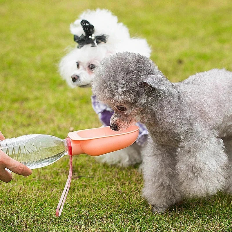 Pet Travel Drinking Water Bowl - Peach colored drinking head attached to a clear plastic water bottle, held toward a gray curly small dog drinking from it, second dog behind on grass.