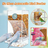 No Mess Automatic Bird Feeder