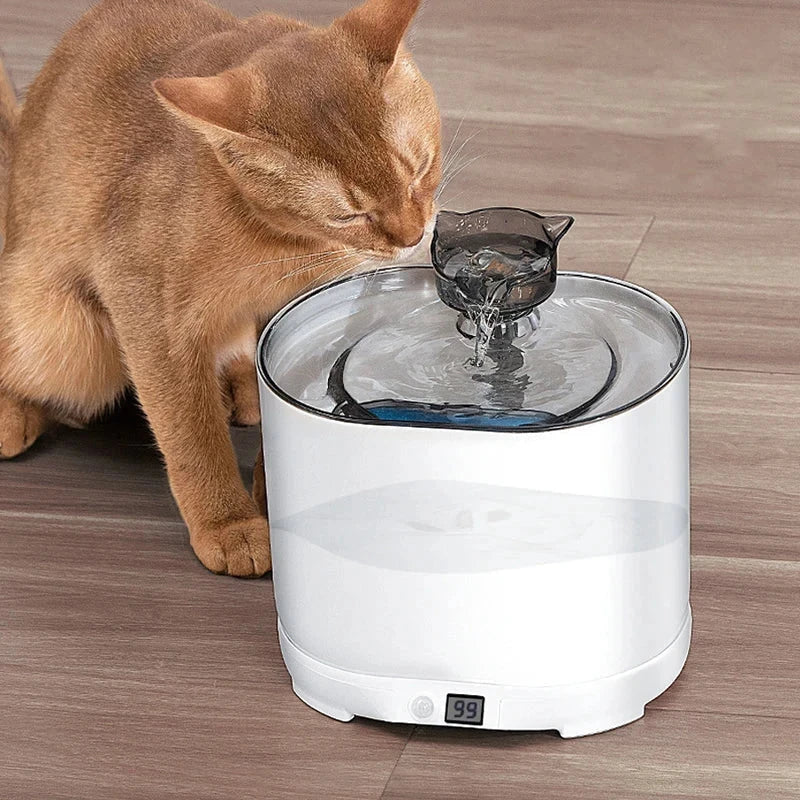 Cat pet water fountain with cat head spout, orange cat drinking from it, digital display showing 99 on wood floor
