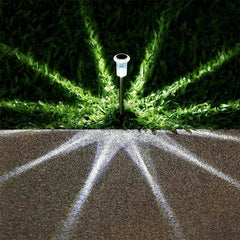 Solar Powered Ground Stake Garden Lights