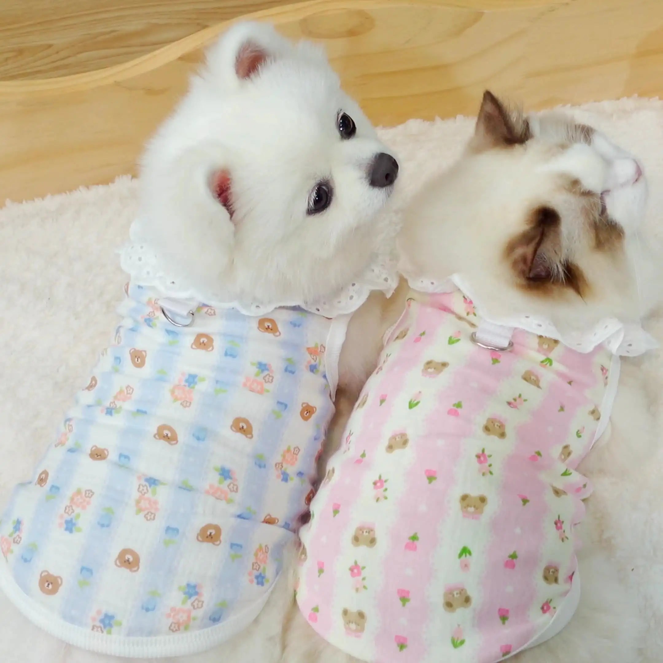 Pet pure cotton yarn breathable dog cat clothes to prevent hair loss - New HomeGoods