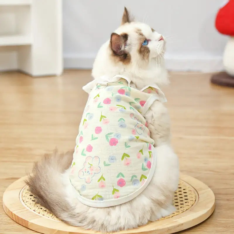 Pet pure cotton yarn breathable dog cat clothes to prevent hair loss - New HomeGoods