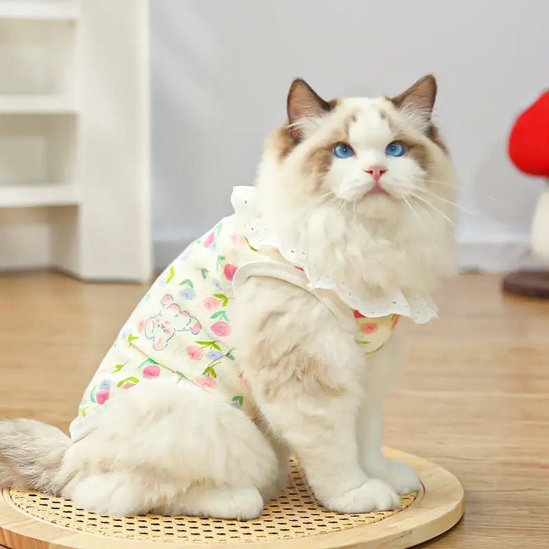 Pet pure cotton yarn breathable dog cat clothes to prevent hair loss - New HomeGoods