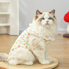Pet pure cotton yarn breathable dog cat clothes to prevent hair loss - New HomeGoods