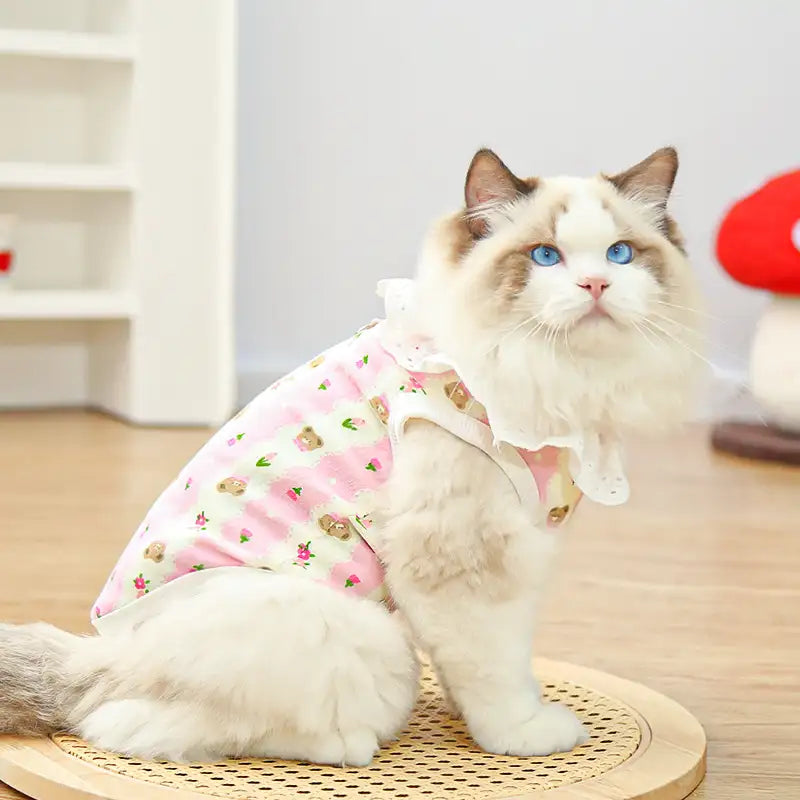 Pet pure cotton yarn breathable dog cat clothes to prevent hair loss - New HomeGoods