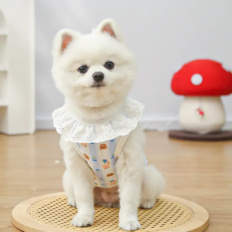 Pet pure cotton yarn breathable dog cat clothes to prevent hair loss - New HomeGoods