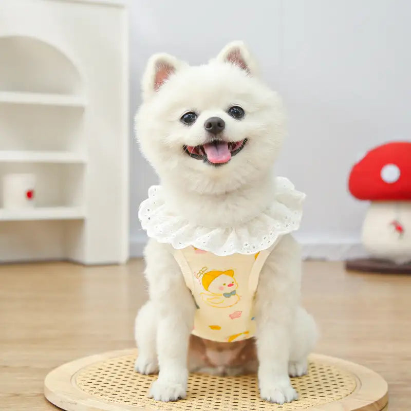 Pet pure cotton yarn breathable dog cat clothes to prevent hair loss - New HomeGoods