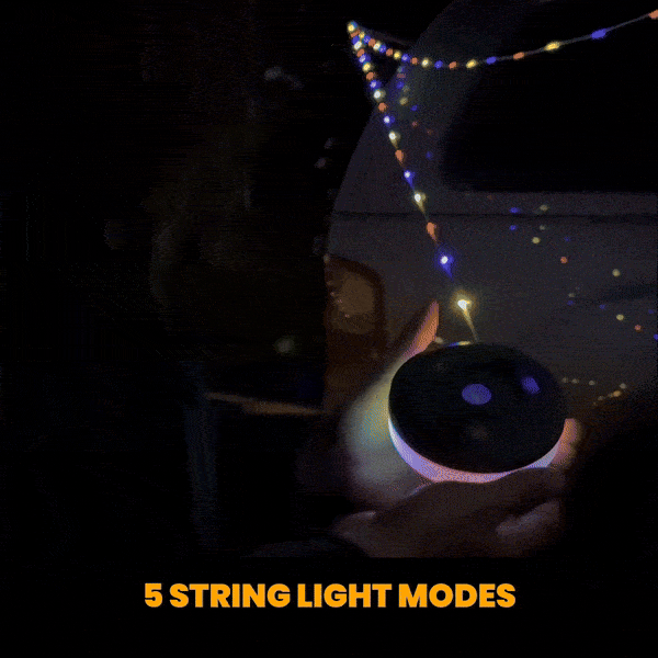 The Camp Lamp
