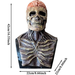 Full-Head Realistic Skull Mask – Scary Halloween Costume for Adults
